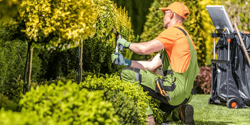 Landscaper at work